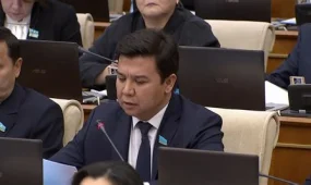 Елімізде шамамен 38 миллионнан астам шот бұғатта тұр