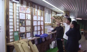 В регионах создано более 540 сельскохозяйственных кооперативов в рамках проекта «Ауыл аманаты»