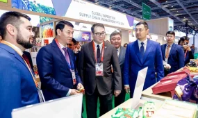 Қазақстан Шанхайдағы көрмеде төрт алаңда өз көрмесін  ұсынды