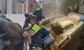 Қарағандыда полиция есірткі өндіретін жасырын зертхананы әшкереледі