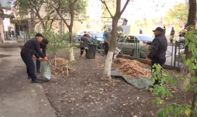 Шымкент пен Қызылордада «Таза бейсенбі» экологиялық акциясы өтті