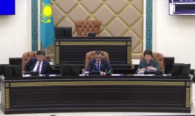 Сенат фонограмманы пайдалануға тыйым салатын заңды Мәжіліске қайтарды