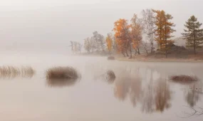 Туманы и «минус» в Алматы и Шымкенте, дождь в Астане: погода на пятницу, 7 ноября