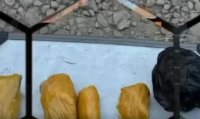 Транспортные полицейские перекрыли наркоканал на 3,1 миллиарда тенге