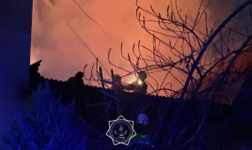 Алматыдағы балалар үйіндегі өртке байланысты жедел штаб құрылды