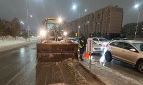Почти 9000 грузовиков снега вывезли с улиц столицы после первых снегопадов