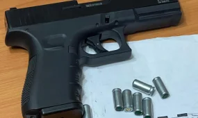 В Костанайской области изъяли оружие и патроны