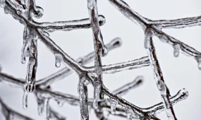 Некоторым школьникам отменили очные занятия в школах Павлодарской области из-за непогоды