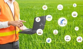 Қазақстанның 648 ауыл шаруашылығы өндірушісі цифрлық технологиялар мен жасанды интеллект элементтерін енгізіп жатыр