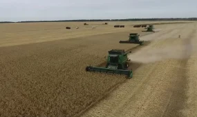 Объем льготного финансирования сельского хозяйства превысил 160 млрд тенге в СКО