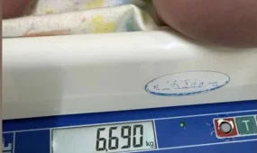 Маңғыстауда алып сәби дүниеге келді