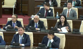 «ЭЦҚ арқылы жүкті әйелдердің атынан 217 млн теңге ұрланған», - депутат