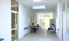 Қыркүйек айынан бері 1 миллион 278 мыңнан астам ЖРВИ жағдайы тіркелген