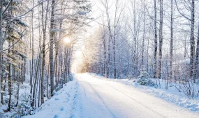 Биыл қыс жылы болады