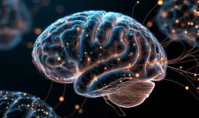 Учёные выяснили, что знание нескольких языков может замедлить старение мозга