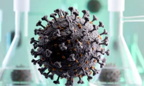 В Гамбурге обнаружили следы дикого вируса полиомиелита