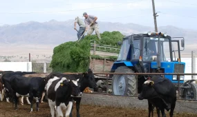Қасым-Жомарт Тоқаев саладағы маман тапшылығы мәселесін көтерді