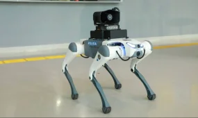 Четвероногие роботы обеспечивают порядок в Астане