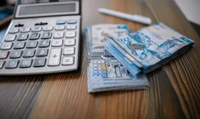 Ауыл шаруашылығына арналған жеңілдетілген несие алғаш рет 1 триллион теңгеден асты