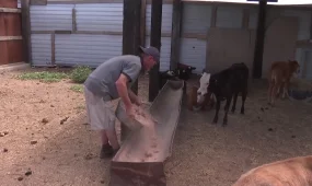 Ұлытауда аграрлық серпіліс: ауыл шаруашылығы саласында жаңа жобалар жүзеге асуда