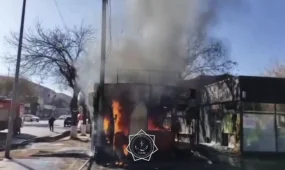 Киоск и машина сгорели в Шымкенте