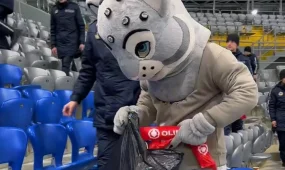 Тазабек вышел на поле: после матча с Бельгией болельщики устроили акцию на трибунах