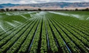 Суару суын пайдаланатын тұтынушыларға 177 млн теңгеден астам қаражат қайтарылады