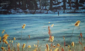 Үш бала мұз астына түсіп кетті