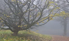 Прогноз погоды на 18 ноября 2025 в Казахстане: Астана, Алматы, Шымкент