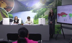 Тепло, но возможны обильные осадки: синоптики рассказали какой будет предстоящая зима