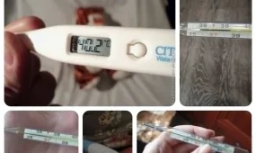 Не надо паники: Минздрав опроверг информацию о «новом штамме гриппа» в Казахстане