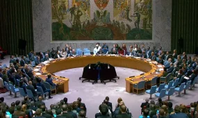 Совбез ООН одобрил резолюцию в поддержку мирного плана Трампа по Газе