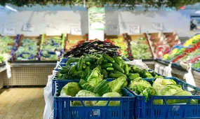 Әлеуметтік тауарлар бағасын негізсіз көтерген сатушыларға 50,8 млн теңгеге жуық айыппұл салынды