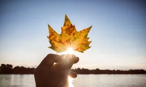 Погода без осадков ожидается в мегаполисах в среду, 19 ноября