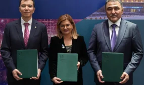 Грант в размере $5,3 млн получит Казахстан на модернизацию сферы ирригации