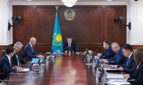 «Криминальный состав не имеется», - Бозумбаев о предварительных причинах пожара в Туркестанской области