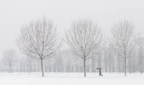 Фронты несут снег и дождь: Казахстан ждёт неустойчивая погода