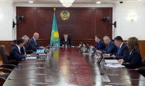 Пожар в Туркестанской области: Бектенов дал ряд поручений