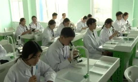 Восемь школ на 12 тысяч детей открылись в Алматы в рамках проекта «Келешек мектептері»