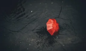 Дождь в Астане, тепло в Алматы и Шымкенте — прогноз на 20 ноября