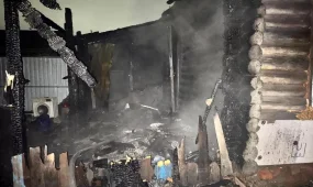 В Новосибирской области мужчина поджёг дом с шестью людьми внутри