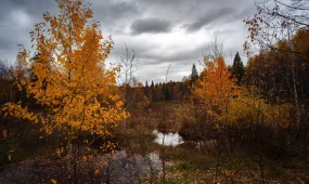 Прогноз погоды на 21 ноября 2025 года в городах Казахстана