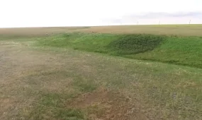 БҚО-да 500 мың гектардай жер мемлекет меншігіне қайтарылды