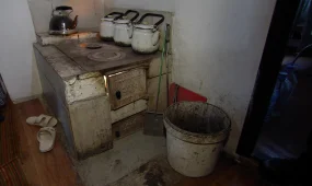 Жыл басталғалы елімізде тілсіз жаудан 46 адам көз жұмды