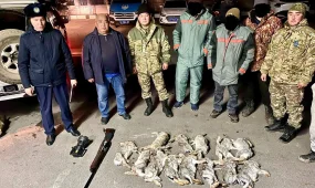 Браконьеров задержали в «тигрином» резервате у Балхаша