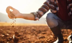 Абай облысында 171,2 мың гектар жер мемлекетке қайтарылды