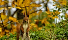 Прогноз погоды на 24 ноября 2025 года в Казахстане