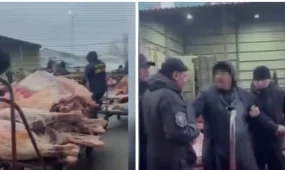 20 банд промышляли кражами скота в Казахстане