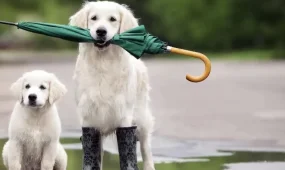 Еще одну теплую неделю обещают казахстанцам синоптики