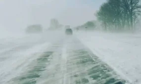 Полицейлер жүргізушілерге ескерту жасады